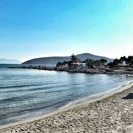 Iasos Kamp Cadir Karavan Alani Luxury tent