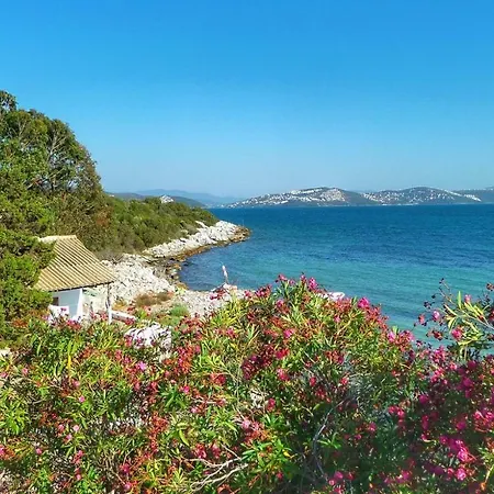 Luxury tent Iasos Kamp Cadir Karavan Alani Kiyikislacik
