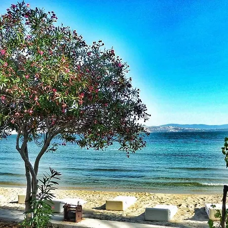 Iasos Kamp Cadir Karavan Alani Luxury tent Kiyikislacik