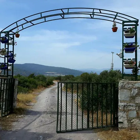 Iasos Kamp Cadir Karavan Alani Luxury tent *